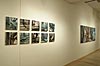 gallery installation shot 9